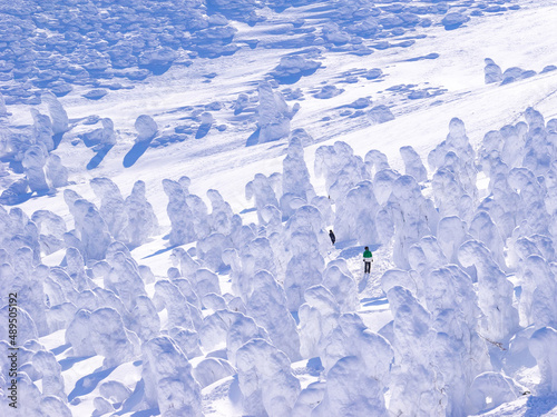 Snow monsters (soft rime) with people walking among them (Zao-onsen ski resort, Yamagata, Japan) photo