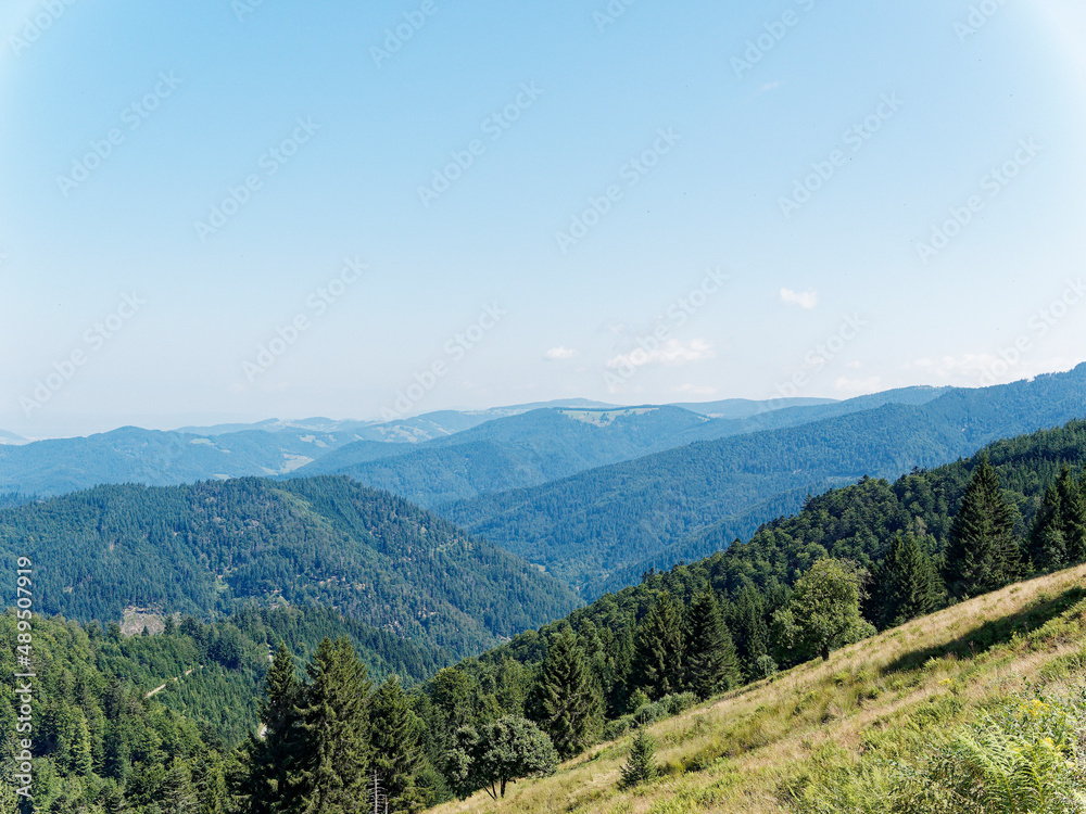 Mountain Landscapes in southern Germany. Between Nonnenmattweiher and Sirnitz summit (Sirnitzgipfel). View in direction Münstertal valley, flowery hills, Freibourg and Slopes of northern Black Forest 