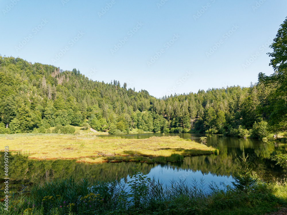 Nonnenmattweiher lake with peat island in a magnificent bottom of cirque of Southern Black Forest in Baden-Württemberg in Germany