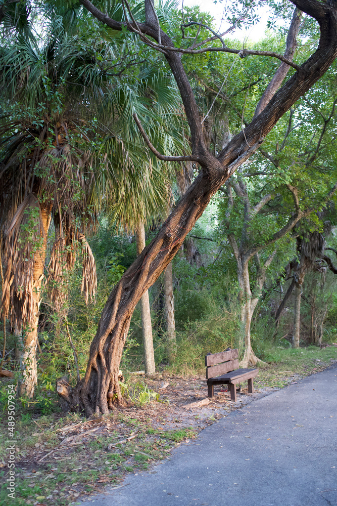 Naklejka premium Nature solitaire