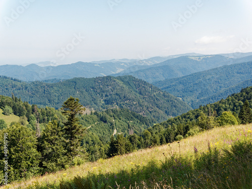 Mountain Landscapes in southern Germany. Between Nonnenmattweiher and Sirnitz summit (Sirnitzgipfel). View in direction Münstertal valley, flowery hills, Freibourg and Slopes of northern Black Forest  © Marc