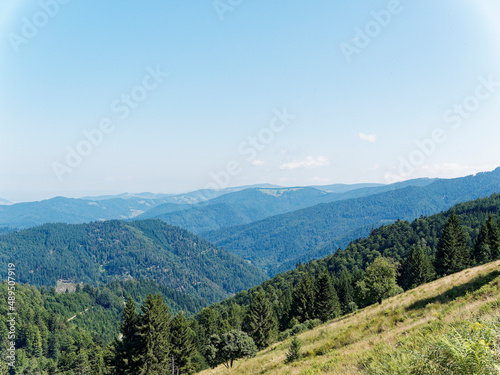 Mountain Landscapes in southern Germany. Between Nonnenmattweiher and Sirnitz summit (Sirnitzgipfel). View in direction Münstertal valley, flowery hills, Freibourg and Slopes of northern Black Forest 