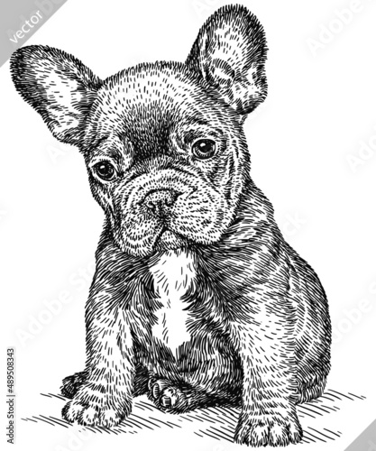 black and white engrave isolated bulldog vector illustration
