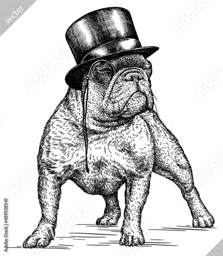 black and white engrave isolated bulldog vector illustration