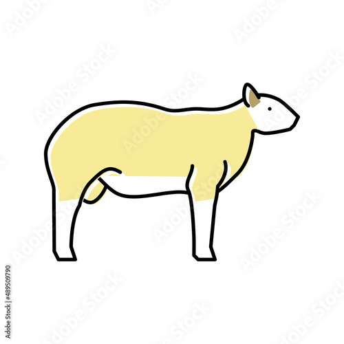 texel sheep color icon vector illustration