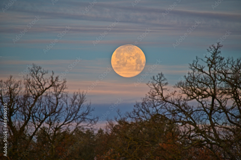 Full Moon Behind Clouds in a Sunrise Sky Full Moon Behind Clouds in a Sunrise Sky