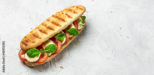 Pressed and toasted panini caprese with tomato, mozzarella and basil, Caprese Panini Sandwich. Delicious breakfast or snack, Clean eating, dieting, vegan food concept. top view photo