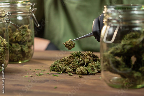 Hand in a black glove, taking trimmed cannabis buds from the table with tweezers and putting it in a glass jar for storage.