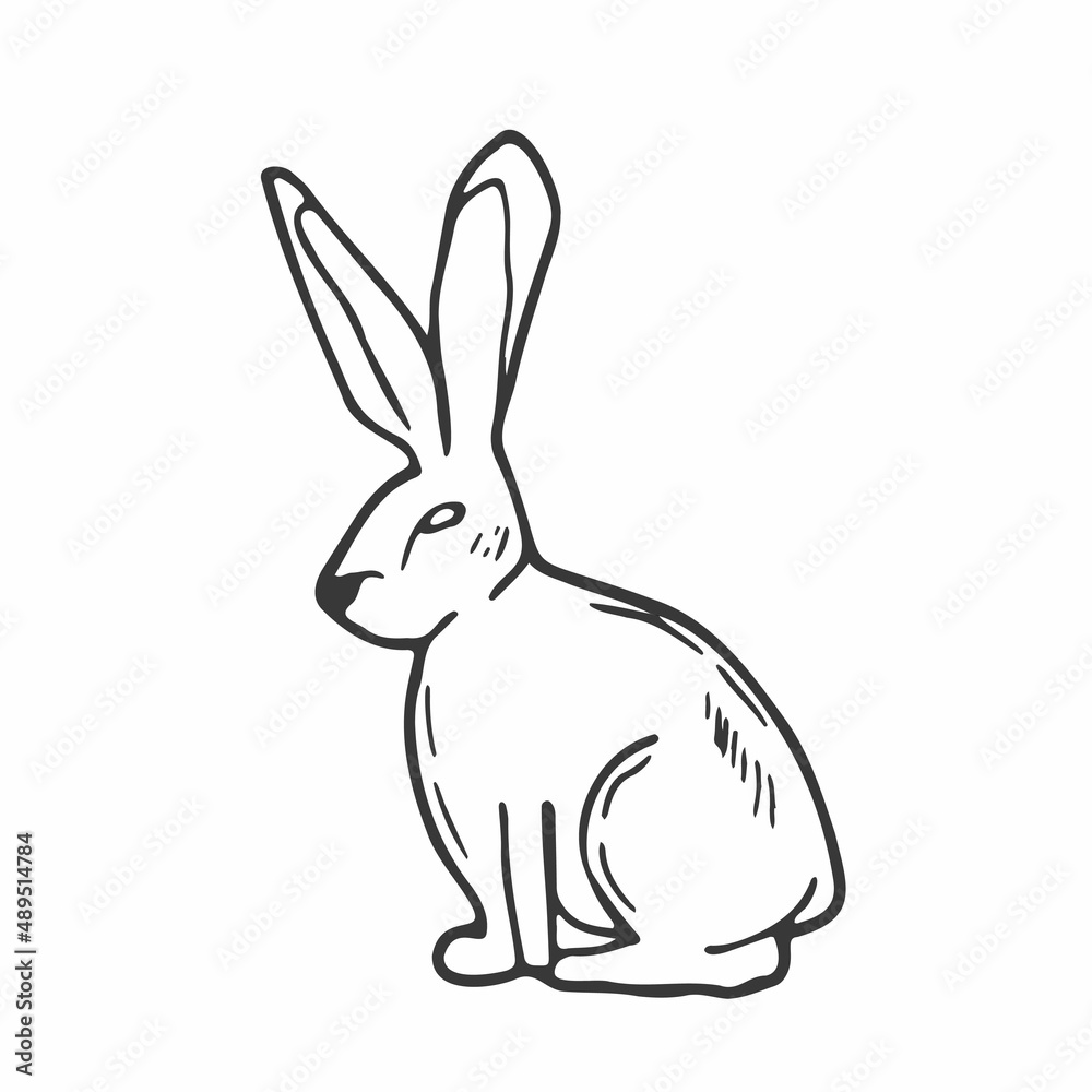 Doodle rabbit sketch. ine art hare animal. Forest concept Doodle rabbit sketch. ine art hare animal. Forest concept