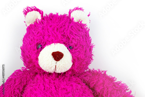 Pink Teddy Bear with copy space