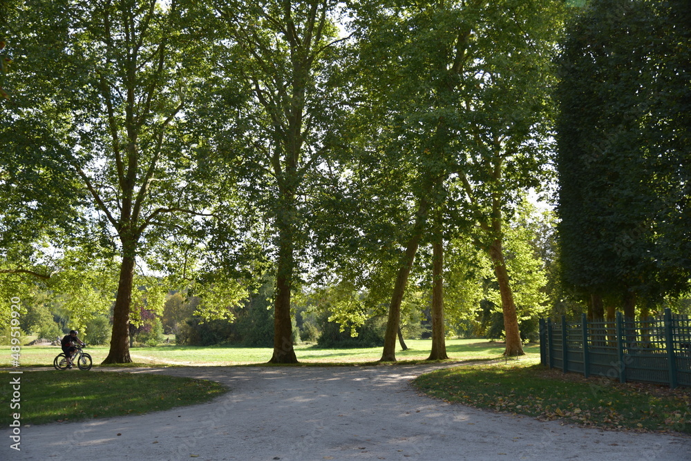 Parc de Rambouillet. France