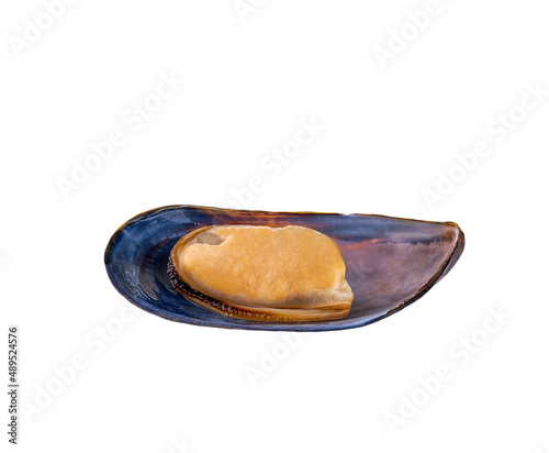 half boiled mussel isolated on white background.