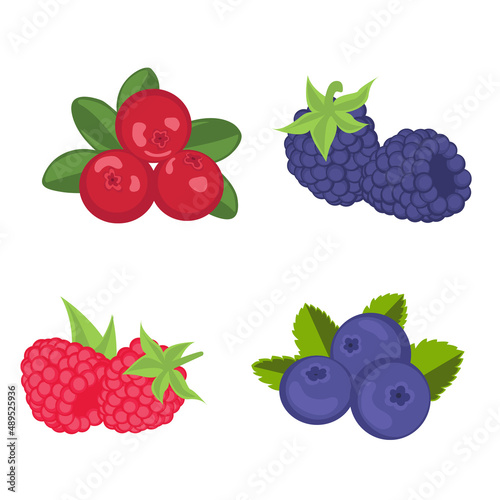 Berries flat illustration isolated on white. Cranberries, blackberries, raspberries, blueberries.