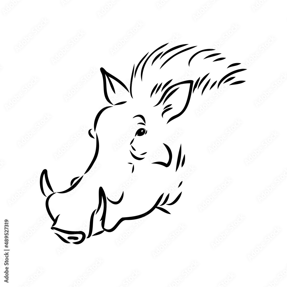 Black and white vector line drawing of a Warthog Black and white vector line drawing of a Warthog