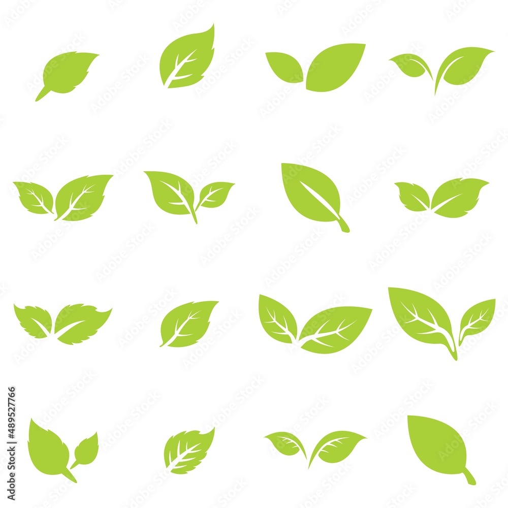 green leaf logo icon vector design and template green leaf logo icon vector design and template