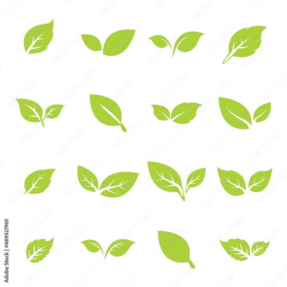 green leaf logo icon vector design and template green leaf logo icon vector design and template