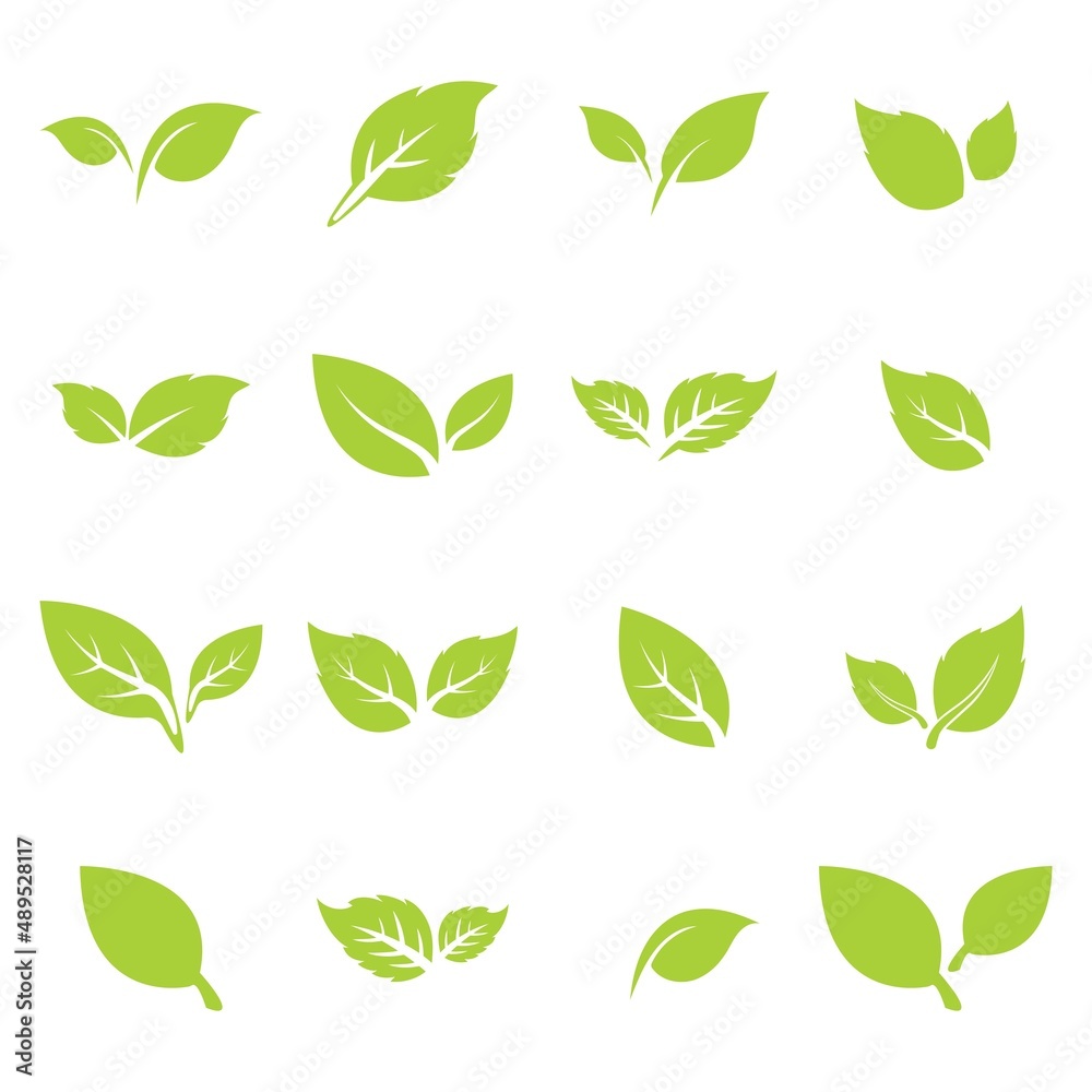 green leaf logo icon vector design and template