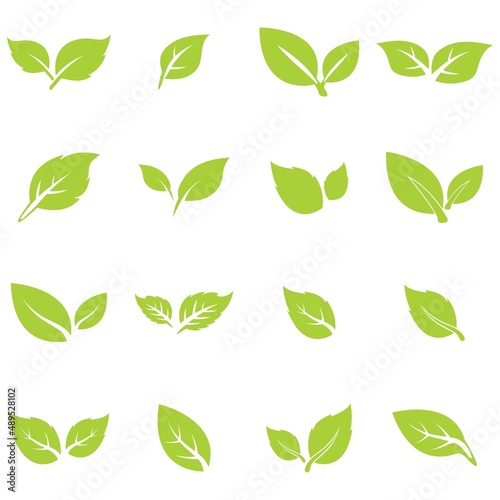 green leaf logo icon vector design and template