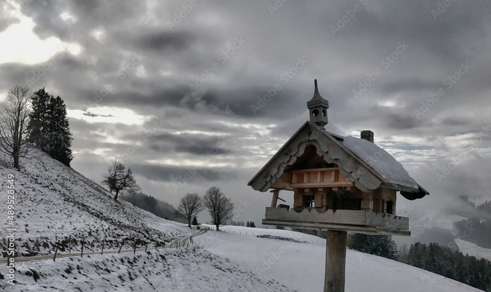Vogelhäuschen im Winter an der Wildbichleralm bei Sachrang, Bayern, Alpen, Deutschland Vogelhäuschen im Winter an der Wildbichleralm bei Sachrang, Bayern, Alpen, Deutschland