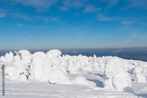 landscape with ice and snow