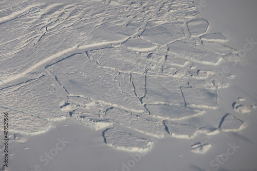 tracks in snow