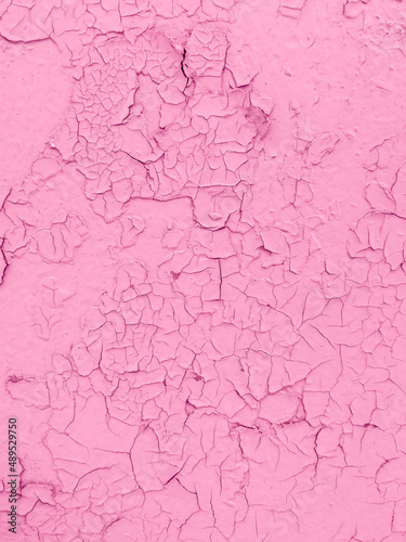 Cracked pink paint on the wall as an abstract background. © schankz