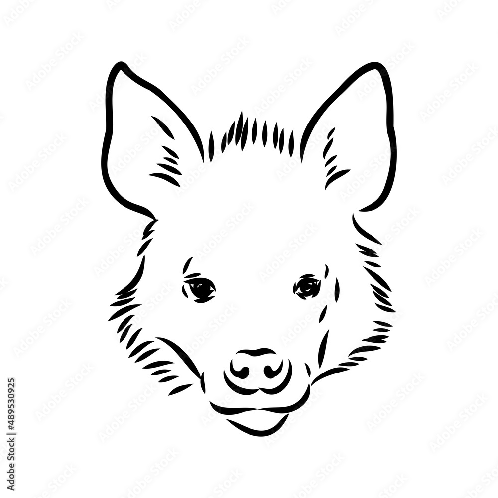 Obraz premium Graphical vintage sketch of hyena ,vector illustration