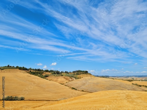 summer rural landscape of Lajatico in Tuscany photo