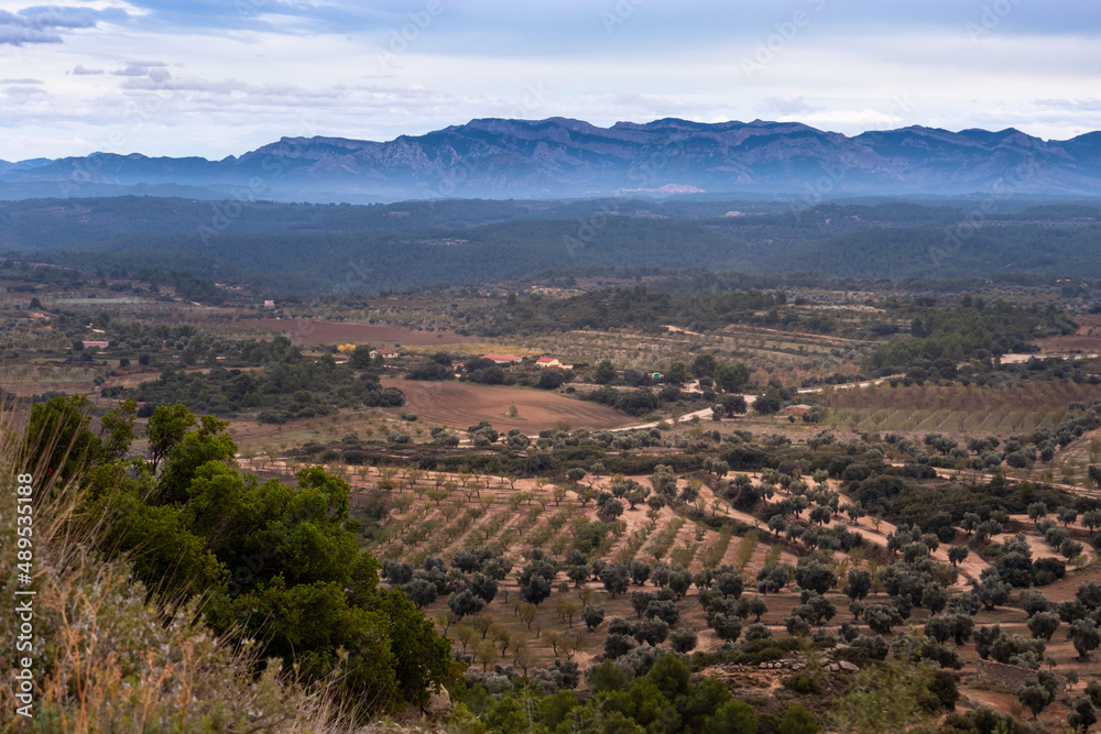 Olive oil fields in the countryside, rural landscape near Els Ports de Beseit mountains near Calaceite, Teruel, Aragon, Spain
