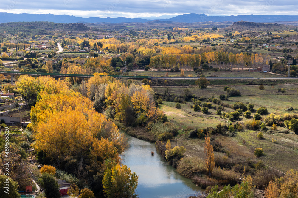 Trees by the river Guadalope autumn season, orange and yellow trees in Alcañiz, Teruel, Aragón, Spain