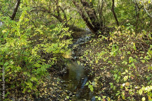 Stream in Burlington Park during autumn, Ontario, Canada