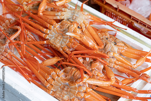 Red snow crab at the fish market in Korea. photo