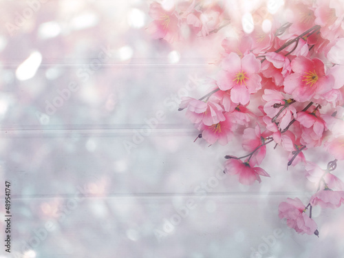 Canvas spring background flowering white sakura cherry flowers tree and abstract bokeh
