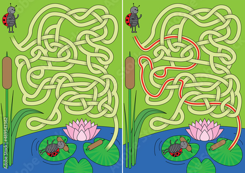 Ladybug maze