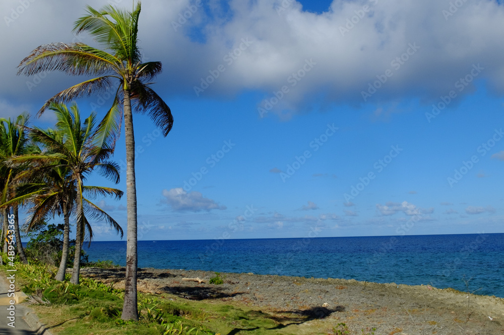 Holiday or vacations destination in tropical island with palm trees moved by the wind in front of the relaxing and beautiful sea