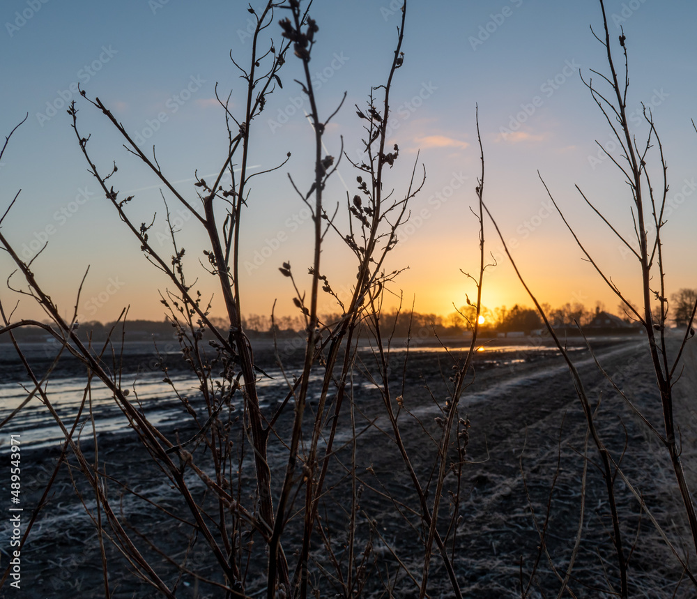 Fototapeta premium Wschód słońca zimą