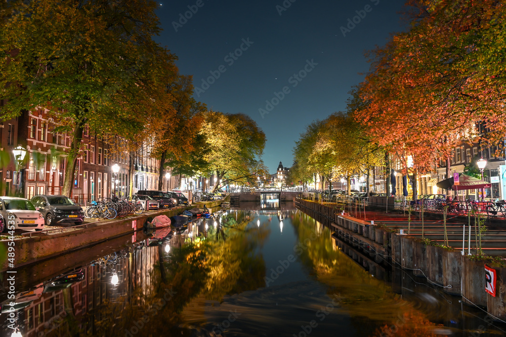 Amsterdam, Netherlands.  Buildings, trees, street and canal in Amsterdam at night. City at evening. Dutch houses.	