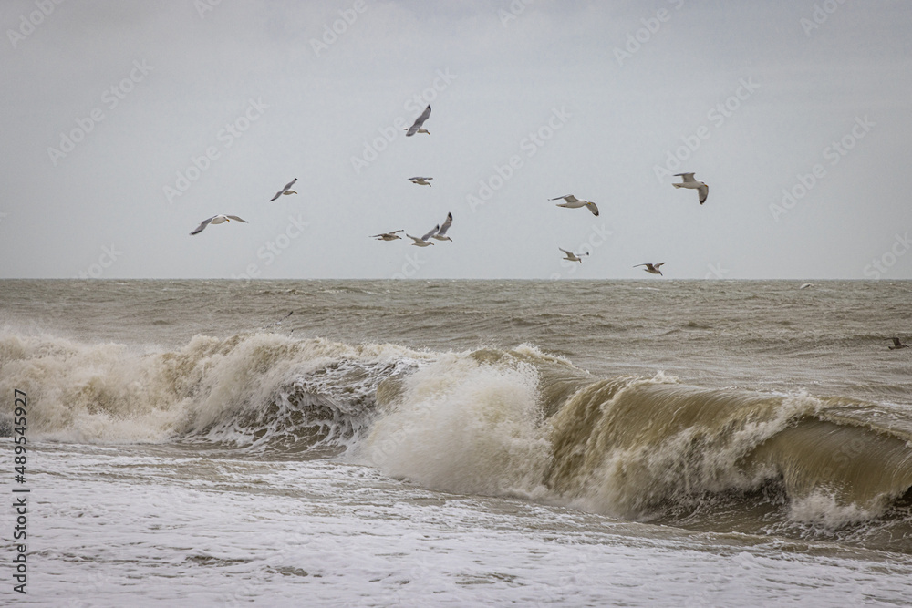 Crashing waves and seagulls in flight at Hastings, East Sussex, England
