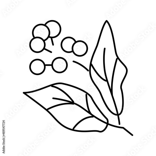 camphor aromatherapy line icon vector isolated illustration