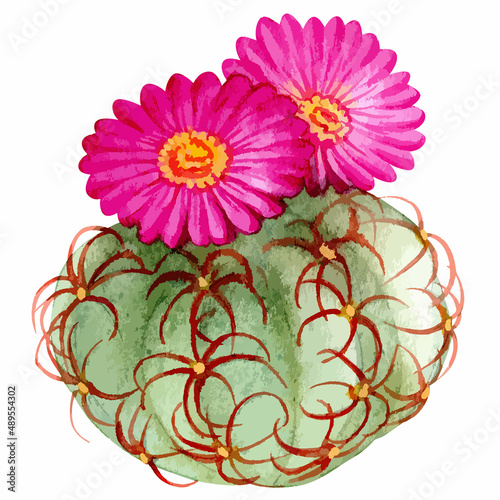 Watercolor vector illustration of cactus with flower