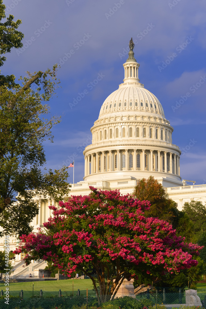 Capitol building ,, Washington DC, United States	