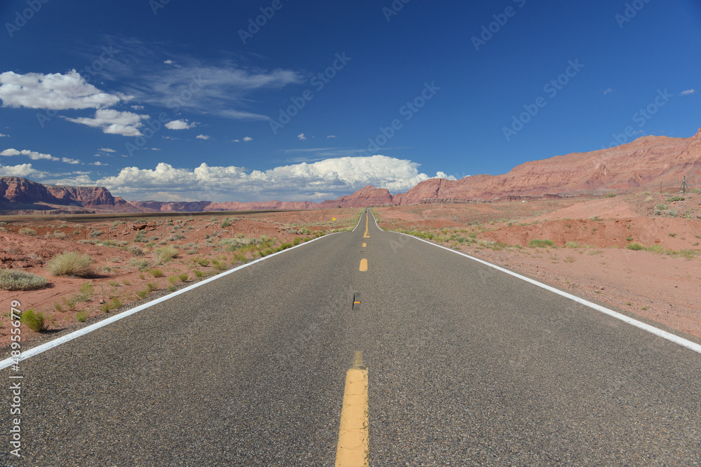Road to grand canyon - Arizona, united states Road to grand canyon - Arizona, united states