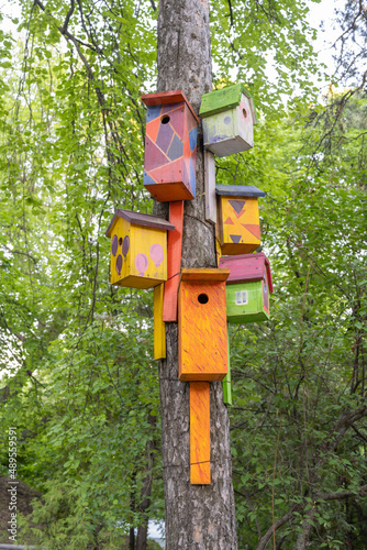 The funny painted birdhouses on the tree. Handmade wooden nesting box.