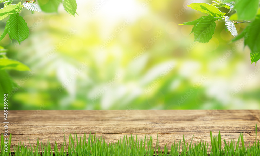 Empty wooden table top on blurred green natural background. Empty wooden table top on blurred green natural background.