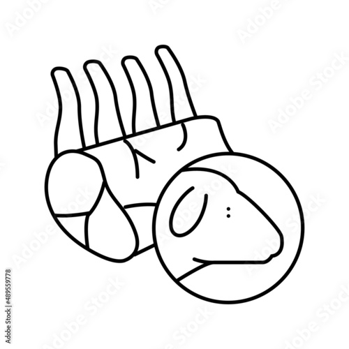 mutton meat line icon vector illustration