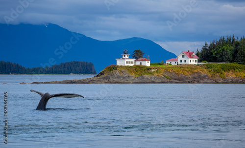 Pt. Retreat, Humpback whale, southeast Alaska photo