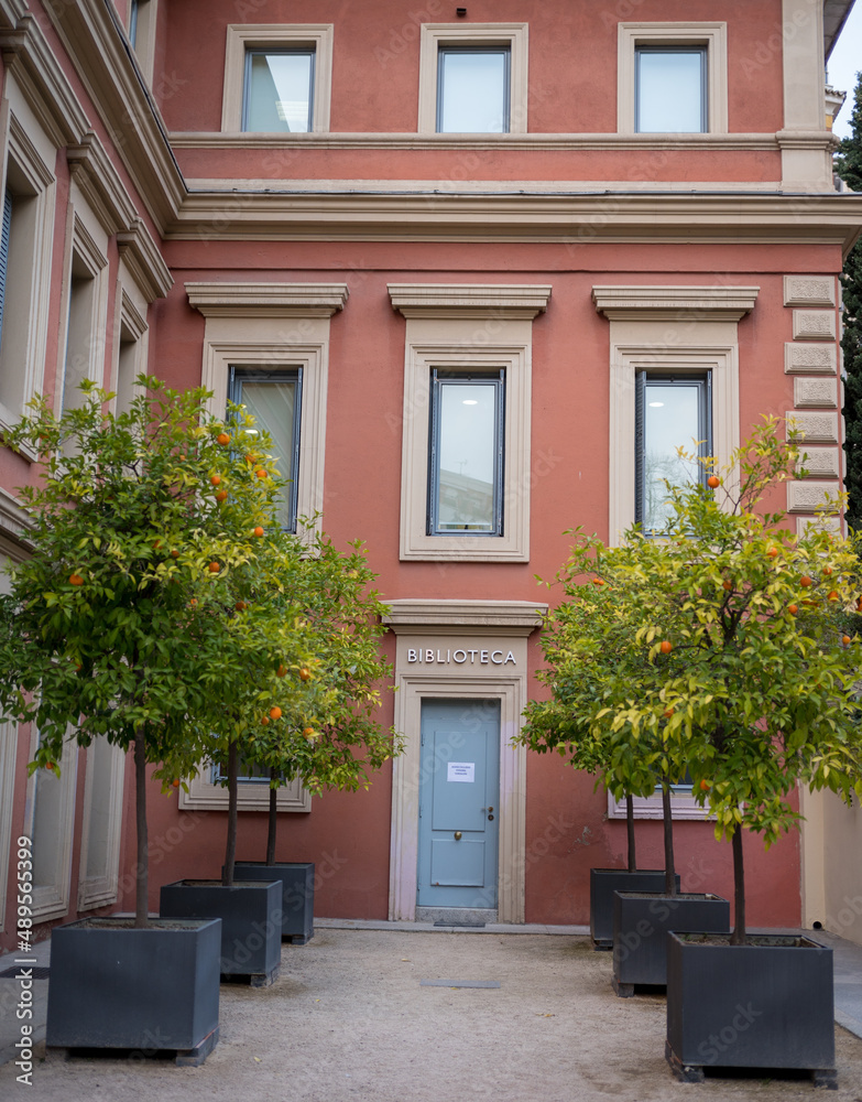 Orange trees next to the entrance of a building