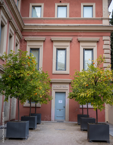 Fototapeta Naklejka Na Ścianę i Meble -  Orange trees next to the entrance of a building