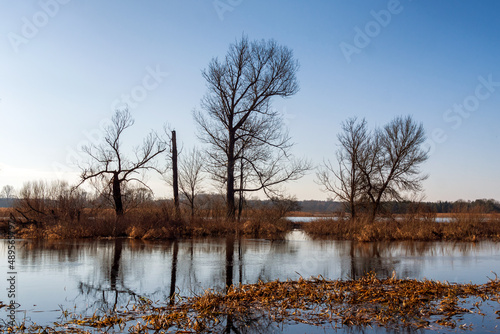 Wiosna w Dolinie Narwi, Podlasie, Polska