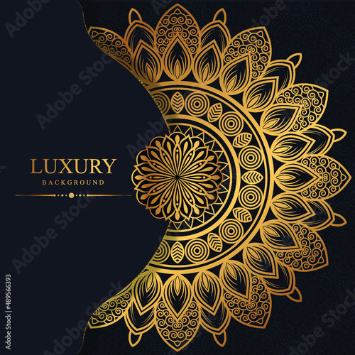Abstract luxury background , ornament elegant invitation wedding card , invite , backdrop cover banner illustration vector design